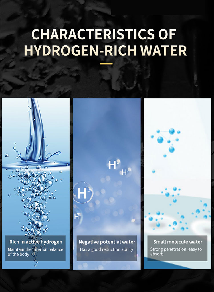 Olansi H6 Hydrogen Water Generator