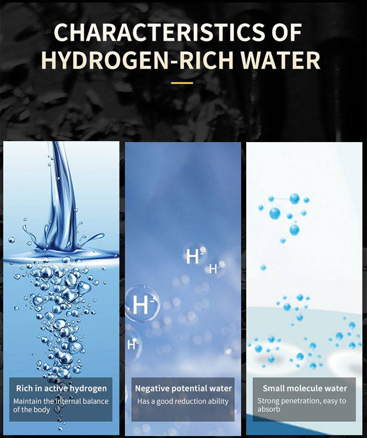 Olansi H8 Hydrogen Water Bottle